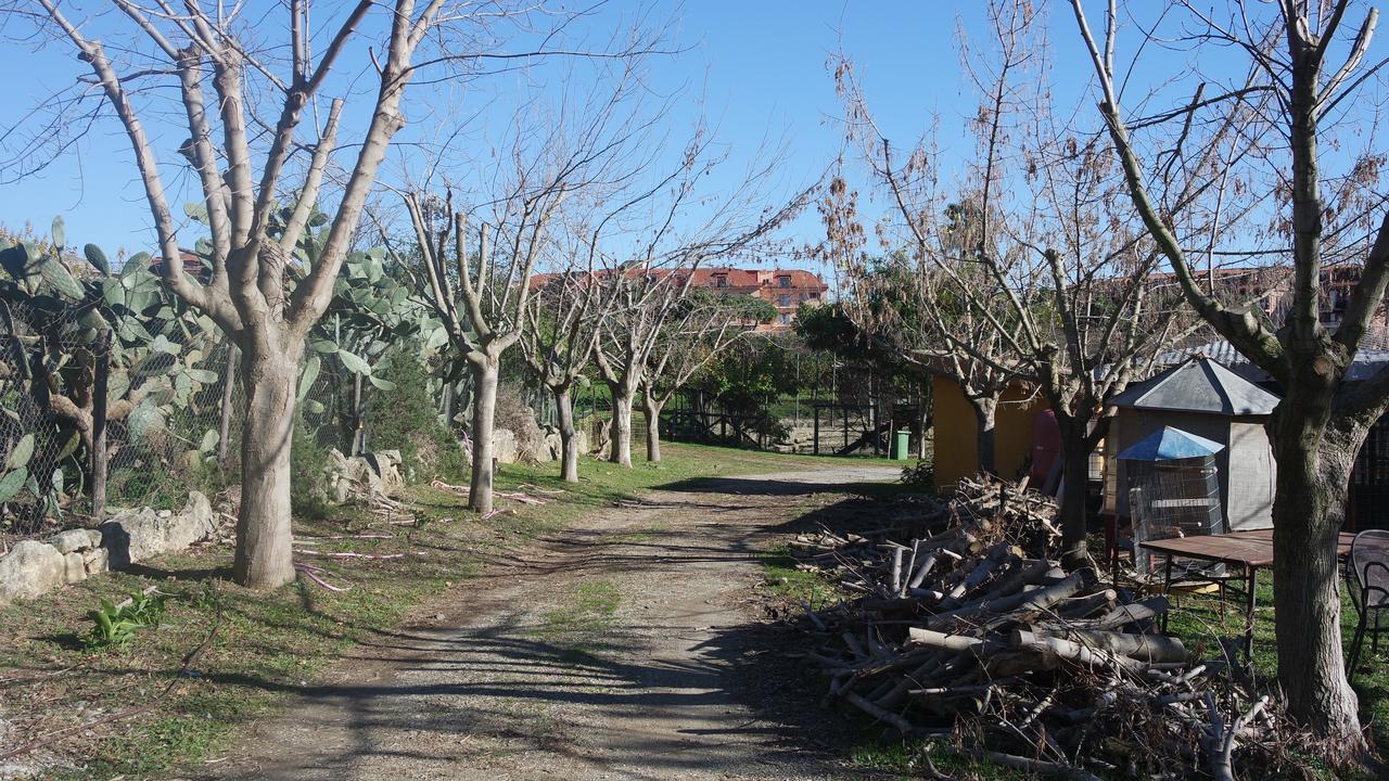 Agriturismo Masseria I Risi Guest House Sant'Eufemia Lamezia Ngoại thất bức ảnh