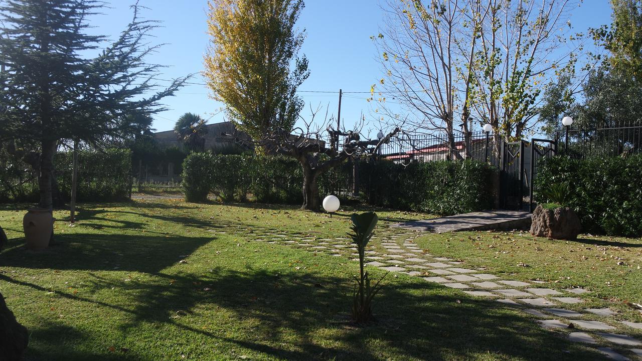 Agriturismo Masseria I Risi Guest House Sant'Eufemia Lamezia Ngoại thất bức ảnh