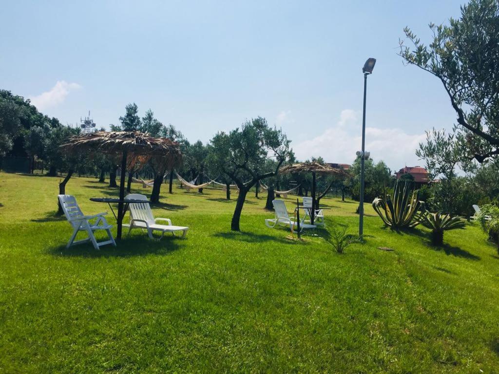 Agriturismo Masseria I Risi Guest House Sant'Eufemia Lamezia Ngoại thất bức ảnh
