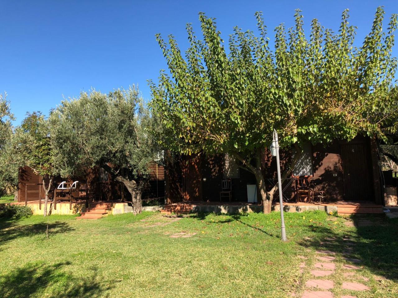 Agriturismo Masseria I Risi Guest House Sant'Eufemia Lamezia Ngoại thất bức ảnh