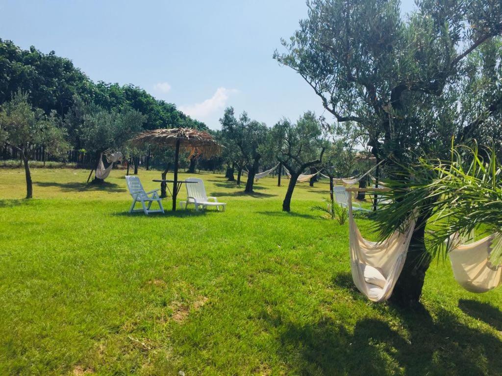 Agriturismo Masseria I Risi Guest House Sant'Eufemia Lamezia Ngoại thất bức ảnh